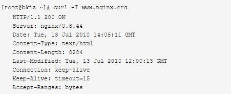 nginx1.png