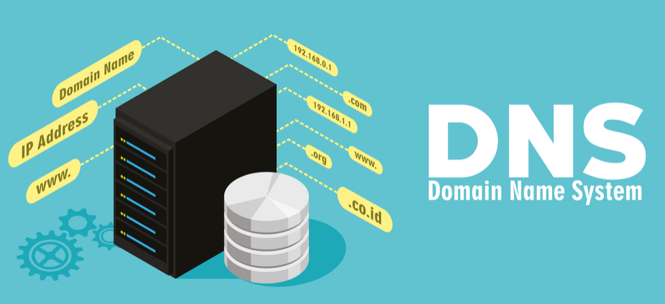 dnsa.png
