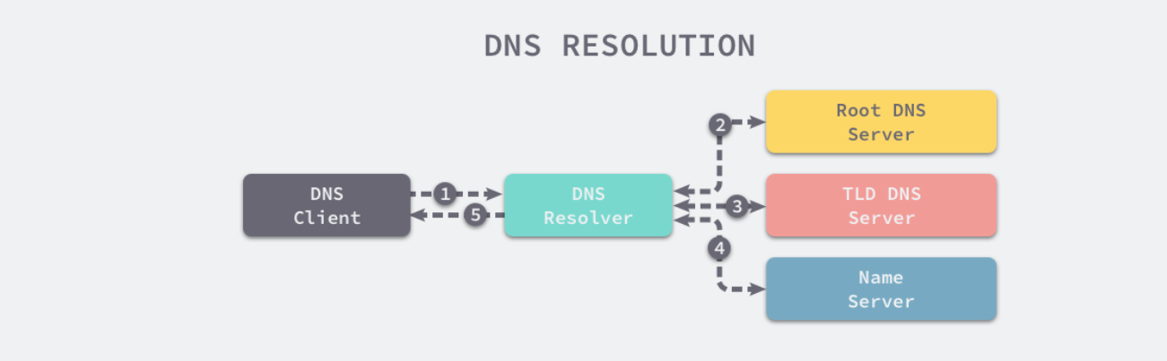 dnsb.png